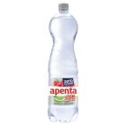 Apenta Vitamixx málna-lime 1.5l Drs