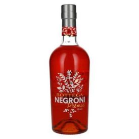 Bottega NEGRONI Premix 0.7l 26%